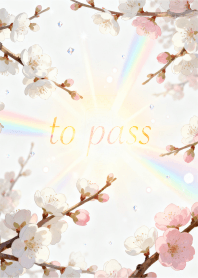 Plum blossoms are blooming.