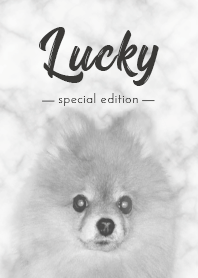 Simple Marble Dog Theme 01