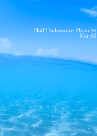 Half Underwater Photo33 Not AI