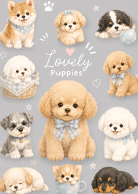 Milk Tea Toy Poodle Days
