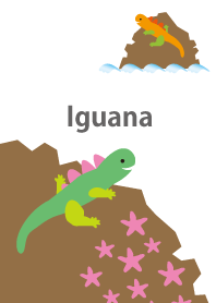 Iguana[reptiles]