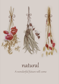 Dried flowers that sleep a little3.