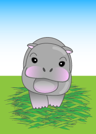 Cute baby hippo Theme