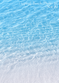 Tropical Beach Photo117 Not AI