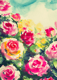 Beautiful rose flower(R4262)