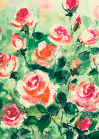 Beautiful rose flower(R4137)