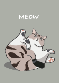 DJ house cat feet green