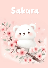 Cherry blossoms blooming - JP11