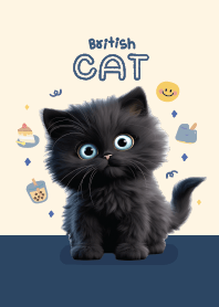 Cat black british : navy love