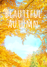 Beautiful Autumn from Japan