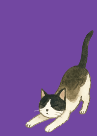 tuxedo cat04 on purple