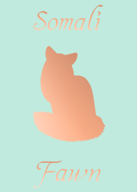 Somalicats ( Fawn )