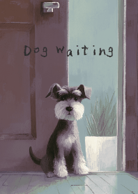 Dog Waiting - schnauzer - night