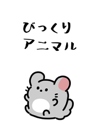 可愛的小驚喜動物