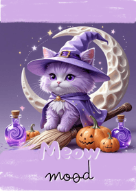 แมวแม่มดอบอุ่นใจ