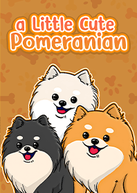 a Little Cute Pomeranian