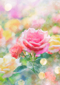 Beautiful rose flower(R2709)