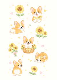 Corgi and Sunflowers (Pp)