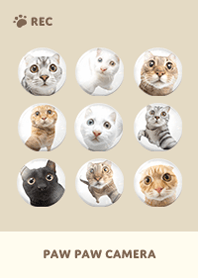 Paw Paw Camera -  Beige 09