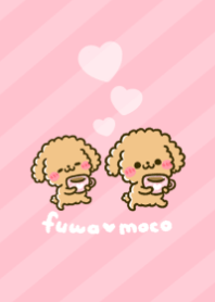 fuwamoco toy poodle