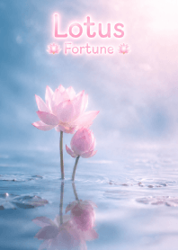 Lotus of fortune and prosperity