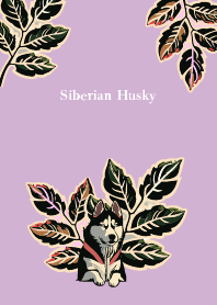 plants and siberian husky on lightpurple