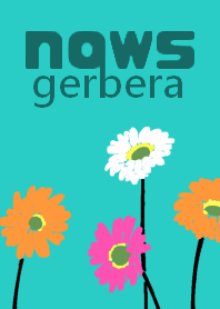 nows