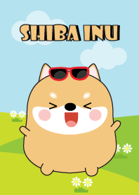 Lovely Fat Shiba Inu Theme