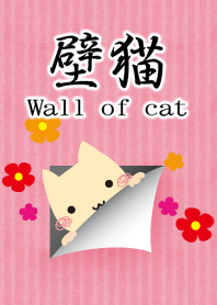 壁猫