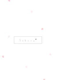 櫻花 /white