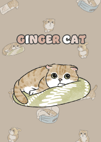 gingercat11 - dark tan