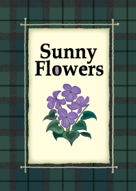 Sunny Flowers