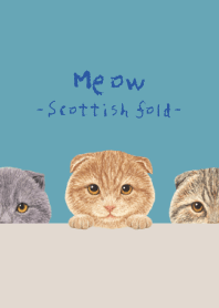 Meow - Scottish fold - TURQUOISE BLUE