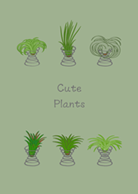 I raise air pineapples(grey green)