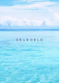 SEA WORLD-Hawaii 55