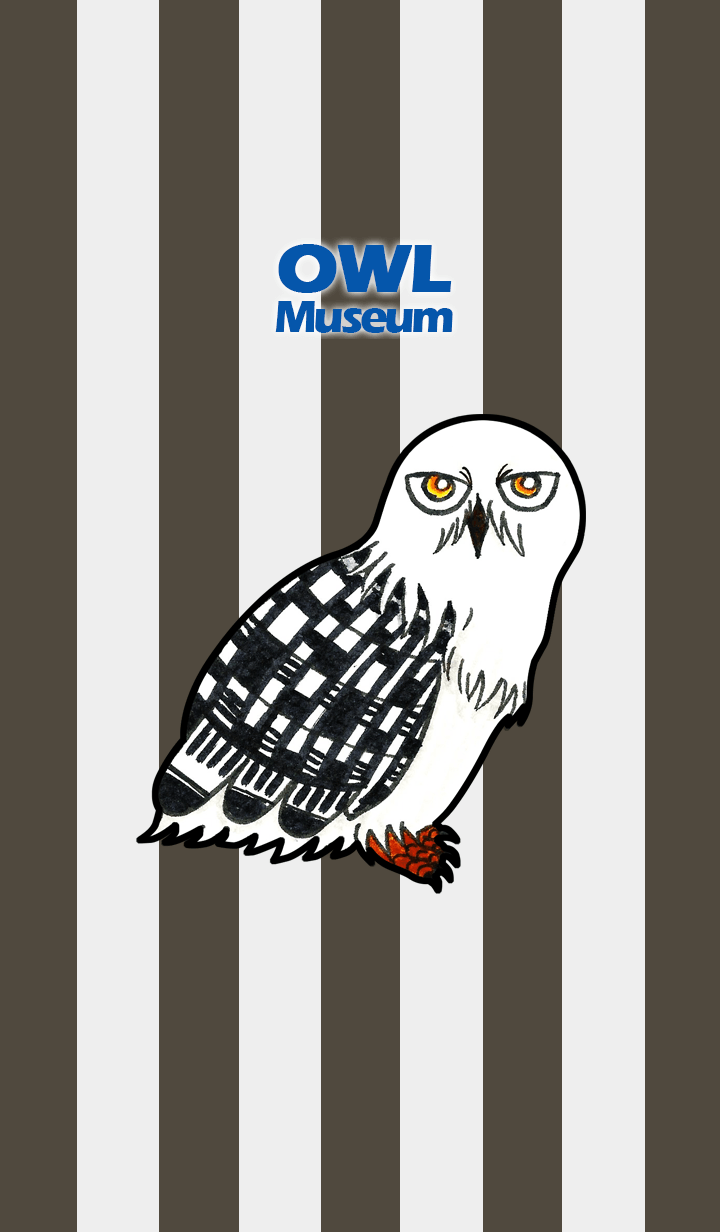 OWL Museum 137 - Snowy Owl