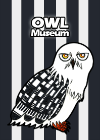 貓頭鷹.博物館 137 - Snowy Owl