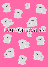 LOTS OF KOALAS-HOT PINK