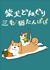 柴犬どんぐり【着せ替え】