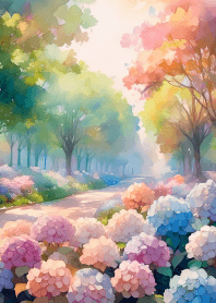 Hydrangeas and walking paths! Vol.1