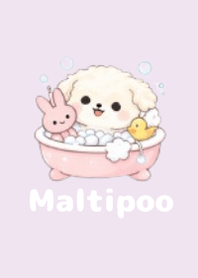 柔軟馬爾泰迪主題3 Purple 03