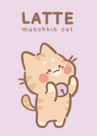 Latte Munchkin cat