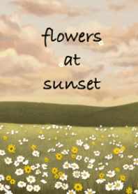 flowers at sunset