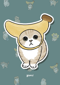 neko combo3 / cadet blue