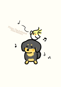 Plane Dachshund(black&tan)