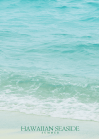 HAWAIIAN-SEASIDE SHELL- 10