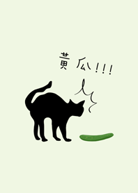黑貓咪與黃瓜