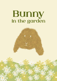 bunny in the garden