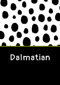 Dalmatian pattern THEME 42