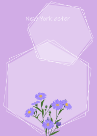 October's birth flower, New York aster